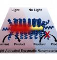 Chemical processes can be activated by light without the need for bulk heating of a material through a process developed by researchers at Rice University. The technique involves coating nanorods with thermophilic enzymes that are activated at high temperatures. Lighting the plasmonic gold nanorod causes highly localized heating and activates the enzyme.