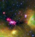 Scientists in the University of Chicago’s Origins Laboratory have published the latest in a series of papers about the origin of the solar system. Infant stars glow reddish-pink in this infrared image of the Serpens star-forming region, captured by NASA’s Spitzer Space Telescope. Four and a half billion years ago, the sun may have looked much like one of the baby stars deeply embedded in the cosmic cloud of gas and dust that collapsed to create it. Scientists in the University of Chicago’s Origins Laboratory have published the latest in a series of papers about the origin of the solar system. Infant stars glow reddish-pink in this infrared image of the Serpens star-forming region, captured by NASA’s Spitzer Space Telescope. Four and a half billion years ago, the sun may have looked much like one of the baby stars deeply embedded in the cosmic cloud of gas and dust that collapsed to create it.