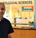 This is Nanyang Technological University Associate Professor Ravi Kambadur who discovered the myostatin link in muscle loss during extreme situations like starvation and chronic diseases