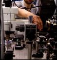 David García, Niels Bohr Institute, works in the laboratory for quantum photonics at the Niels Bohr Institute. He experiments with nanophotonic structures in order to control the emission and propagation of photons. The research shows that photons can 'sense' each other and coordinate their way through a complex material.
