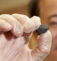 Qing-Zhu Yin, professor of geology at UC Davis, shows a 5.4-gram meteorite fragment, which was part of the Sutter's Mill meteorite that fell over Northern California on April 22, 2012. Gregory Jorgensen, a UC Davis alum, found the meteorite on his driveway and donated it to UC Davis.