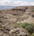 The researchers examined lake sediments from Olduvai Gorge in northern Tanzania, looking for biomarkers -- fossil molecules -- from ancient trees and grasses.