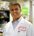 Rohit N. Kulkarni, M.D., Ph.D., is principal investigator in the Section on Islet Cell & Regenerative Biology at Joslin Diabetes Center and an associate professor of medicine at Harvard Medical School.