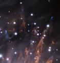 This image, obtained during the late commissioning phase of the GeMS adaptive optics system, with the Gemini South AO Imager (GSAOI) on the night of Dec. 28, 2012, reveals exquisite details in the outskirts of the Orion Nebula. The large adaptive optics field-of-view (85 arcseconds across) demonstrates the system's extreme resolution and uniform correction across the entire field. The three filters used for this composite color image include [Fe II], H2, and, K(short)-continuum (2.093 microns) for blue, orange, and white layers respectively. The natural seeing while these data were taken ranged from about 0.8 to 1.1 arcseconds, with AO corrected images ranging from 0.084 to 0.103 arcsecond. Each filter had a total integration (exposure) of 600 seconds. In this image, the blue spots are clouds of gaseous iron "bullets" being propelled at supersonic speeds from a region of massive star formation outside, and below, this image's field-of-view. As these "bullets" pass through neutral hydrogen gas it heats up the hydrogen and produces the pillars that trace the passage of the iron clouds.

Principal Investigator(s): John Bally and Adam Ginsberg, University of Colorado and the GeMS/GSAOI commissioning team; Data processing/reduction: Rodrigo Carrasco, Gemini Observatory; Color image composite: Travis Rector, University of Alaska Anchorage.