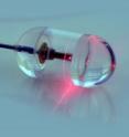 The inch-long endomicroscopy capsule contains rotating infrared laser and sensors for recording reflected light.