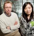 Chemistry professor Wilfred van der Donk (left) and graduate student Weixin Tang, University of Illinois, determined the unusual structure of a bacterial toxin.