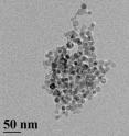 This transmission electron microscopy image shows spherical silicon nanoparticles about 10 nanometers in diameter. These particles, created in a UB lab, react with water to quickly produce hydrogen, according to new UB research. Additional images of the particles are available at <a href="http://www.buffalo.edu/news/releases/2013/01/017.html" target="_blank">http://www.buffalo.edu/news/releases/2013/01/017.html</a>.