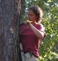 Researcher Sharon Martinson, Dartmouth College, studies bark from beetle-attacked trees in Louisiana to determine why bark beetle population outbreaks occur.