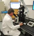SF State researcher William Cochlan examines phytoplankton cells using an inverted microscope at the University's SF State's Romberg Tiburon Center for Environmental Studies. His latest study finds that nitrogen in ocean waters -- regardless of the source of nitrogen -- fuels the growth of this toxic phytoplankton species.