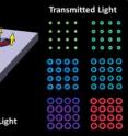 Boston College researchers have constructed a unique nanostructure that exploits microcavity features to filter visible light into "plasmonic halos" of selected color output. The device could have applications in areas such as biomedical plasmonics or discrete optical filtering.