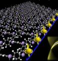 University of Utah engineers demonstrated it is feasible to build the first organic materials that conduct electricity on their molecular edges, but act as an insulator inside. Called organic topological insulators, these materials are made from a thin molecular sheet (left) that resembles chicken wire and conducts electricity on its right edge (blue line) -- with the electrons carrying more information in the form of "up" spin. These new materials could be used to shuttle information at the speed of light in quantum computers due to the unique physical behavior a special class of electrons called Dirac fermions, depicted (right) in a plot of their energy and momentum. University of Utah engineers demonstrated it is feasible to build the first organic materials that conduct electricity on their molecular edges, but act as an insulator inside. Called organic topological insulators, these materials are made from a thin molecular sheet (left) that resembles chicken wire and conducts electricity on its right edge (blue line) -- with the electrons carrying more information in the form of "up" spin. These new materials could be used to shuttle information at the speed of light in quantum computers due to the unique physical behavior a special class of electrons called Dirac fermions, depicted (right) in a plot of their energy and momentum.