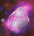 The W44 supernova remnant is nestled within and interacting with the molecular cloud that formed its parent star. Fermi's LAT detects GeV gamma rays (magenta) produced when the gas is bombarded by cosmic rays, primarily protons. Radio observations (yellow) from the Karl G. Jansky Very Large Array near Socorro, N.M., and infrared (red) data from NASA's Spitzer Space Telescope reveal filamentary structures in the remnant's shell. Blue shows X-ray emission mapped by the Germany-led ROSAT mission. The W44 supernova remnant is nestled within and interacting with the molecular cloud that formed its parent star. Fermi's LAT detects GeV gamma rays (magenta) produced when the gas is bombarded by cosmic rays, primarily protons. Radio observations (yellow) from the Karl G. Jansky Very Large Array near Socorro, N.M., and infrared (red) data from NASA's Spitzer Space Telescope reveal filamentary structures in the remnant's shell. Blue shows X-ray emission mapped by the Germany-led ROSAT mission.