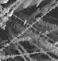 The nanowire and nanosheets are actually a single, three-dimensional structure consisting of a single, seamless series of germanium sulfide (GeS) crystals. This creates a material with a large surface area and -- because GeS is a semiconductor -- the ability to transfer electric charges efficiently.