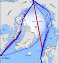 The fastest navigation routes for ships seeking to cross the Arctic Ocean by mid-century include the Northwest Passage (on the left) and over the North Pole (center), in addition to the Northern Sea Route (on the right).

UCLA researchers arrived at these projections by studying sea ice forecasts from seven climate models for the years 2040 to 2059. The projections assume a medium-low increase in carbon emissions and corresponding medium-low rise in global warming.  

Red lines indicate the fastest available trans-Arctic routes for Polar Class 6 ships (moderate-capability icebreakers such as those used today in the Baltic), and blue lines indicate the fastest available routes for common open-water ships. Where overlap occurs, line weights indicate the number of successful transits following the same route. Dashed lines reflect currently existing sovereignty boundaries. The white backdrop indicates period-averaged sea ice concentration.