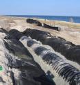 The NC State researchers designed and built two dune filtration systems in Kure Beach, N.C. The systems consist of large, open-bottomed chambers that effectively divert stormwater into dunes, which serve as giant sand filters that remove microbial contaminants from the stormwater.