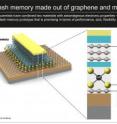 EPFL scientists have combined two materials with advantageous electronic properties -- graphene and molybdenite -- into a flash memory prototype that is promising in terms of performance, size, flexibility and energy consumption.