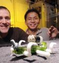 Georgia Tech professor Daniel Goldman and postdoctoral fellow Chen Li watch a robot traverse a track bed of poppy seeds as part of a study into how animals and robots move on granular surfaces. Georgia Tech professor Daniel Goldman and postdoctoral fellow Chen Li watch a robot traverse a track bed of poppy seeds as part of a study into how animals and robots move on granular surfaces.