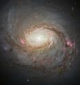 The NASA/ESA Hubble Space Telescope has captured this vivid image of spiral galaxy Messier 77 -- a galaxy in the constellation of Cetus, some 45 million light-years away from us. The streaks of red and blue in the image highlight pockets of star formation along the pinwheeling arms, with dark dust lanes stretching across the galaxy's starry center. The galaxy belongs to a class of galaxies known as Seyfert galaxies, which have highly ionized gas surrounding an intensely active center.