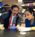 Houra Merrikh, assistant professor of microbiology, and her student Samuel Million-Weaver, University of Washington, study mechanisms that bacteria use to evolve and adapt.