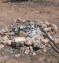 Camp fires built in Kaibob National Forest routinely make use of stones once used for prehistoric pueblo construction. Exposure to the fire's heat makes chemical analysis and carbon dating difficult.
