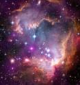 New Chandra observations have been used to make the first detection of X-ray emission from young stars with masses similar to our Sun outside our Milky Way galaxy. The Chandra observations of these low-mass stars were made of the region known as the "Wing" of the Small Magellanic Cloud (SMC), one of the Milky Way's closest galactic neighbors. In this composite image of the Wing the Chandra data is shown in purple, optical data from the Hubble Space Telescope is shown in red, green and blue and infrared data from the Spitzer Space Telescope is shown in red. Astronomers call all elements heavier than hydrogen and helium -- that is, with more than two protons in the atom's nucleus -- "metals." The Wing is a region known to have fewer metals compared to most areas within the Milky Way. The Chandra results imply that the young, metal-poor stars in NGC 602a produce X-rays in a manner similar to stars with much higher metal content found in the Orion cluster in our Galaxy.