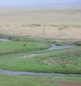 This picture shows a landscape from the Mongolian steppes on the edge of the Gobi Desert.