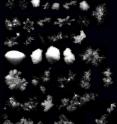 This is a collection of snowflakes photographed automatically as they fell at Alta, Utah, by the new Multi-Angle Snowflake Camera developed at the University of Utah.