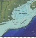 An elevated area of the sea floor between Cape Cod and Nova Scotia, Georges Bank is one of the best fishing grounds on Earth. For decades scientists speculated the blooms on Georges Bank were fueled by coastal blooms in the Gulf of Maine, but new research suggests the population of toxin-producing algae on Georges Bank occupies a distinct niche.