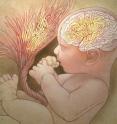 Abnormal placental folds signal autism risk at birth.