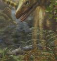 Ten million years after the mass extinction, members of the archosaur reptiles -- such as the 10-foot (3 meter) long <i>Asilisaurus</i> pictured -- had more restricted geographic ranges compared to the communities of four-legged animals that existed before the extinction.