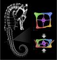 Sea horses get their exceptional flexibility from the structure of their bony plates, which form its armor. The plates slide past each other. Here the seahorse's skeleton, as well as the bony 
plates, are shown though a micro CT-scan of the animal.
