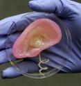 Scientists used 3-D printing to merge tissue and an antenna capable of receiving radio signals.