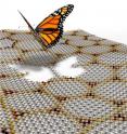 This is an artistic image illustration of a butterfly departing from a graphene moir&#233; pattern formed on the top of an atomically thin boron nitride substrate. Electron energy in such a graphene moir&#233; structure exhibits the butterfly like a self-recursive fractal quantum spectrum.