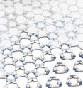 Graphene, combined with white graphene, forms stunning 'butterfly' images.