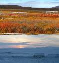 This image shows the US Arctic LTER greenhouse in peak autumn and early winter.