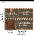 The well supporting the membrane and channel is noted in the figure.
A team of researchers at Columbia Engineering has used miniaturized electronics to measure the activity of individual ion-channel proteins with temporal resolution as fine as one microsecond, producing the fastest recordings of single ion channels ever performed. They designed a custom integrated circuit to perform these measurements, in which an artificial cell membrane and ion channel are attached directly to the surface of the amplifier chip.