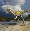 This is a life reconstruction of the new small-bodied, plant-eating dinosaur <i>Albertadromeus syntarsus</i>.