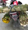 A motorbike transports bark used for medicine that has been harvested from Wolong Nature Reserve in China.
