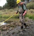 Fish biologist Peter Moyle, shown at Martis Creek in the Sierra Nevada, expects much of the unique California fish will disappear and be replaced by non-natives, largely as a result of climate change.