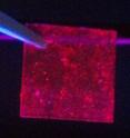 This image shows quantum dots with conjugated polymer and ligand enhancement chemistry.