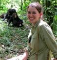 Julie Rushmore, University of Georgia, collects data on contact patterns for the Kanyawara chimpanzee community in Kibale National Park, Uganda.
