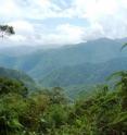 This image shows the Ecuadorian Andes -- a remarkable biodiversity hotspot and the home of the new scorpion species.