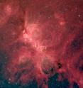 NGC 6334, also known as the Cat's Paw Nebula, comes alive in this infrared image from the Spitzer Space Telescope. NGC 6334 is forming stars so rapidly that it is undergoing a "mini-starburst." Young stars are heating surrounding dust, causing it to glow. In this representative-color photo red shows light at a wavelength of 8 microns, green is 4.5 microns, and blue is 3.6 microns.