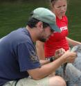 Jonathan Freedman, shown here untangling a fish from a trap net, developed an electrified benthic trawl to sample bottom fish assemblages at dredged and undredged sites in the deep river pools.