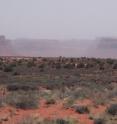 This image shows a dust storm in Canyonlands National Park.