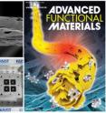 Clockwise from left to right: left upper shows a magnified SEM image of a broken thin-wall assembled SnO2 fiber. Left below is an array of breath sensors (Inset is an actual size of a breath sensor). The right is the cover of <i>Advanced Functional Materials</i> (May 20th issue) in which a research paper on the development of a highly sensitive exhaled breath sensor by using SnO2 fibers is published.