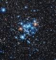 This spectacular group of young stars is the open star cluster NGC 3766 in the constellation of Centaurus (The Centaur). Very careful observations of these stars by a group from the Geneva Observatory using the Swiss 1.2-metre Leonhard Euler Telescope at ESO's La Silla Observatory in Chile have shown that 36 of the stars are of a new and unknown class of variable star.
This image was taken with the MPG/ESO 2.2-metre telescope at the La Silla Observatory. This spectacular group of young stars is the open star cluster NGC 3766 in the constellation of Centaurus (The Centaur). Very careful observations of these stars by a group from the Geneva Observatory using the Swiss 1.2-metre Leonhard Euler Telescope at ESO's La Silla Observatory in Chile have shown that 36 of the stars are of a new and unknown class of variable star.
This image was taken with the MPG/ESO 2.2-metre telescope at the La Silla Observatory.
