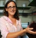 This is UCSB researcher Morgan Kelly. In her hands is a red urchin, close relative of the purple urchin, and one of several marine species being studied in the Hofmann lab for their response to ocean acidification. The other species include coral, algae, and the California mussel.