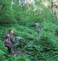 A group of residents monitor the forests of China's Wolong Nature Reserve for signs of illegal logging. A group of residents monitor the forests of China's Wolong Nature Reserve for signs of illegal logging.