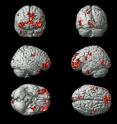 For the first time, scientists at Carnegie Mellon University have identified which emotion a person is experiencing based on brain activation. This image shows the average positions of brain regions used to identify emotional states.